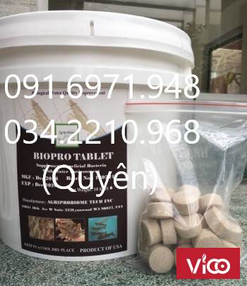 Men vi sinh bacillus viên 16g Bio Pro Tablet xử lý nước và đáy ao hiệu quả