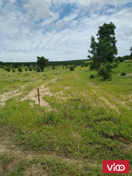 Bán 3000m2 đất Bình Thuận giá 150 triệu, đón đầu dự án phát triển của nhà nước