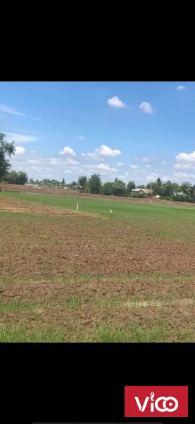 3000m lúa cần đước oto chạy cực đẹp