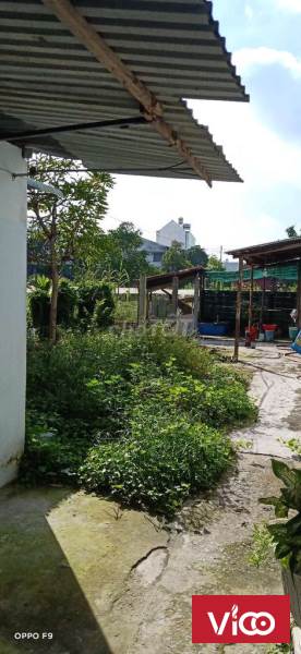 Nhà cấp 4, 88m2 đường Tân Xuân 1A, Tân Xuân, Hóc Môn