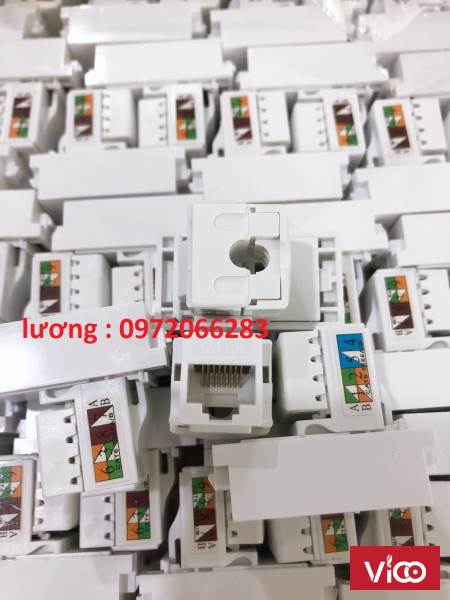 Nhân mạng RJ45 nắp âm tường, âm sàn (cat5/cat6) sẵn hàng