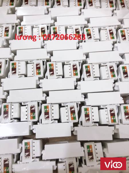 Nhân mạng RJ45 nắp âm tường, âm sàn (cat5/cat6) sẵn hàng