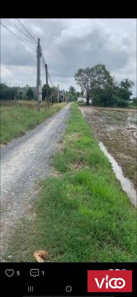 1810 vườn 552 thổ phước vân cần đước