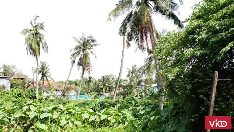 Cho thuê nhà nguyên căn 3PN, tại Thuận An, Bình Dương, 5tr/tháng