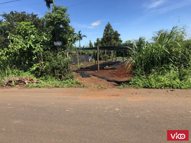 Bán Đất Mặt Tiền Y Wang Nối Dài Thôn Cao Thắng Xã Eakao Buôn Ma Thuột Giá 1 Tỷ