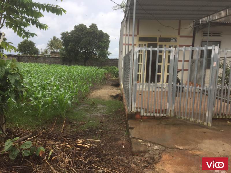 Bán Đất Đối Diện Chợ Đoàn Kết Xã Hòa Khánh Quốc Lộ 14 Buôn Ma Thuột 890 Triệu