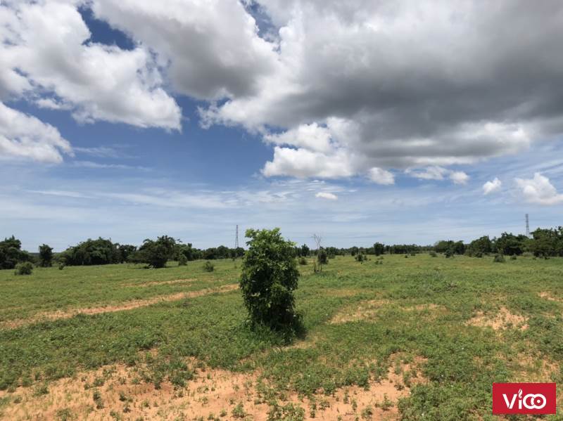 Bán đất nông nghiệp sổ đỏ sẵn có đường giá 75000đ/m2