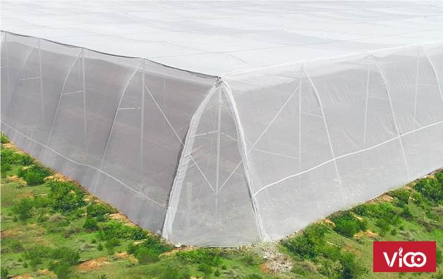 Hệ thống tưới cảnh quan, tưới cảnh quan sân, tưới cỏ sân vườn, vòi phun pro spray