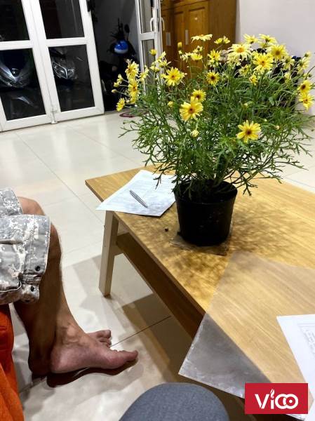 Cho thuê biệt thự sân vườn hợp phong thủy trung tâm quận 2