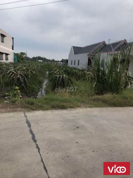 Chính chủ cần bán đất tại Lộ Dừa, Xã Vĩnh Công, Huyện Châu Thành, Long An