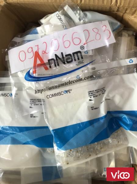 Hạt đầu bấm RJ11 Cat3 AMP/Commscope loại 6p4cHạt điện thoại