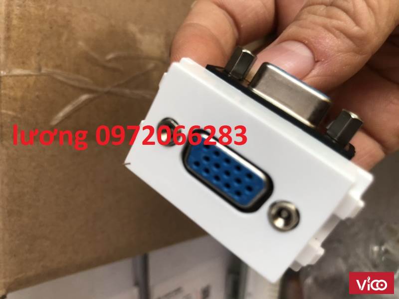 Nhân wall plate VGA âm tường chuẩn full color