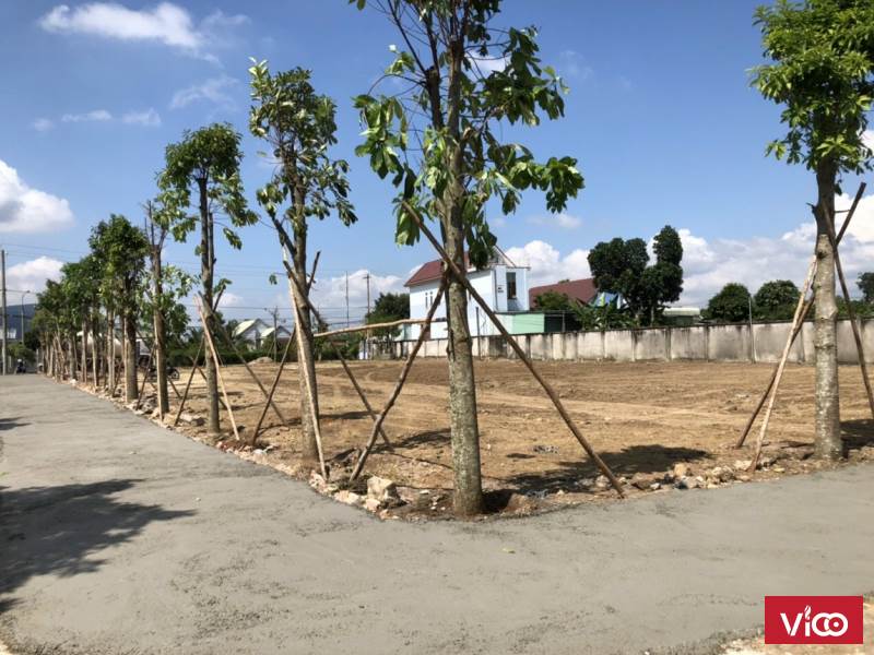 NHANH TAY BOOKING ĐỂ NHẬN NHIỀU ƯU ĐÃI TRONG NGÀY MỞ BÁN