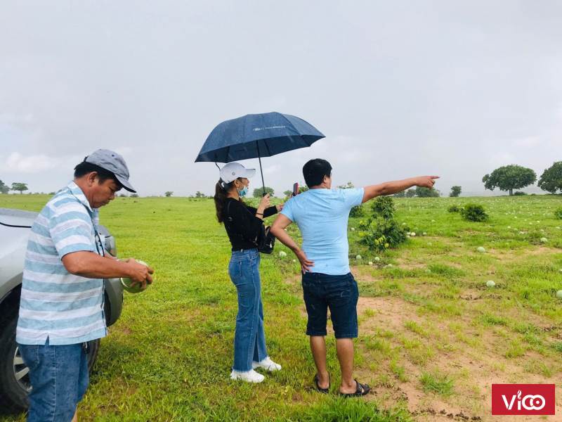 mình có vài lô đất gần biển, gần đường quốc lộ có SỔ ĐỎ sẵn giá chỉ từ 60nghin/m2