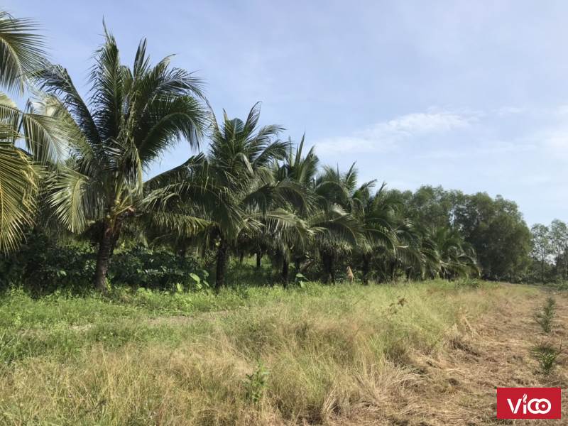 Cần bán gấp lô đất xã Lương Hoà, Huyện Bến Lức, tỉnh Long An, giá đầu tư