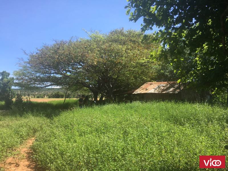 Bán đất Bình Thuận giá đầu tư từ 50 ngàn 1 mét vuông, đón đầu cao tốc Bắc Nam, sân bay Phan Thiết