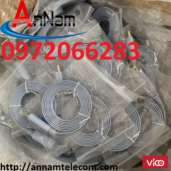 Cáp lập trình cisco console USB to RJ45 Cable