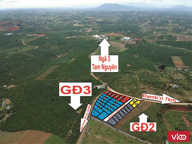 Mở Bán siêu phẩm đất đầm ri Bảo Lộc