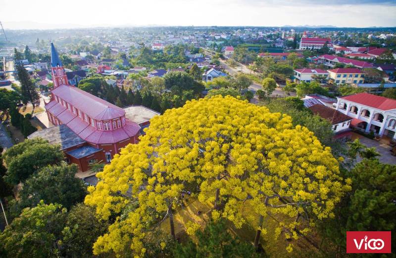 BÁN ĐẤT SÀO ĐẦM RI TP BẢO LỘC GIÁ CHỈ 500TR/ SÀO