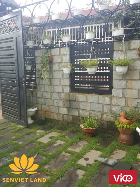 Chủ về SG bán gấp nhà TRUNG TÂM Lộc Sơn 5.3x 25m Giá tốt