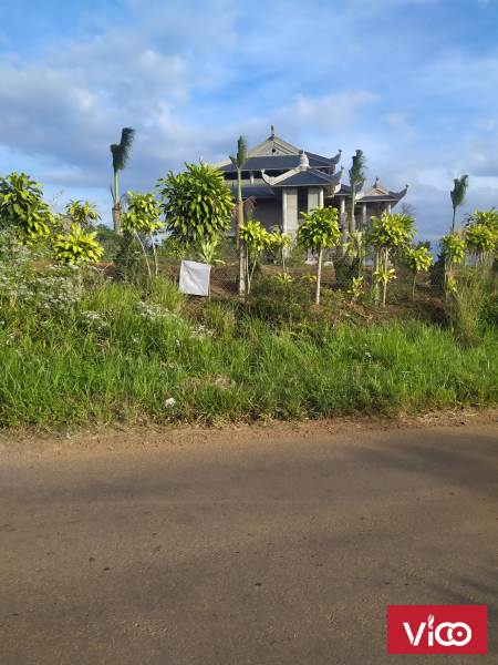 cần ra đi gấp lô đất mặt tiền lý thái tổ TP Bảo Lộc