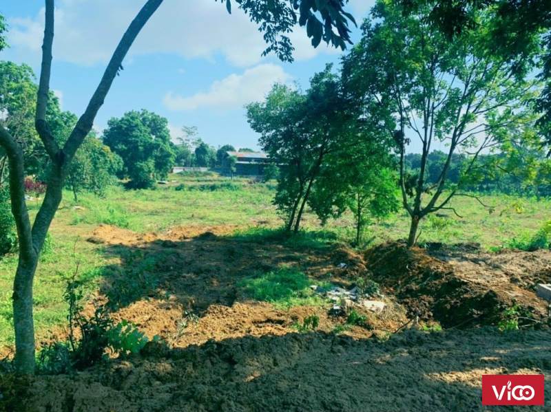 Bán 4500m2 đất làm nhà xưởng khu vực Chương Mỹ đường công vào tận đất