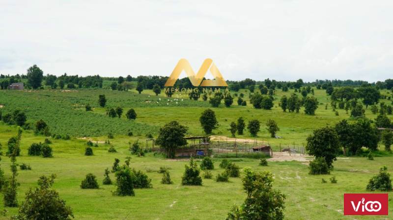 600TR/10.000m2 đã có sổ sẳn chỉ có ở Nam Á Garden.