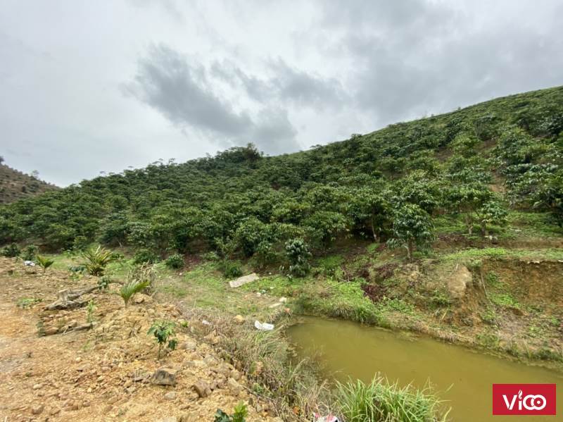 Bán đất nghỉ dưỡng mặt đường view ao đồi, giá rẻ