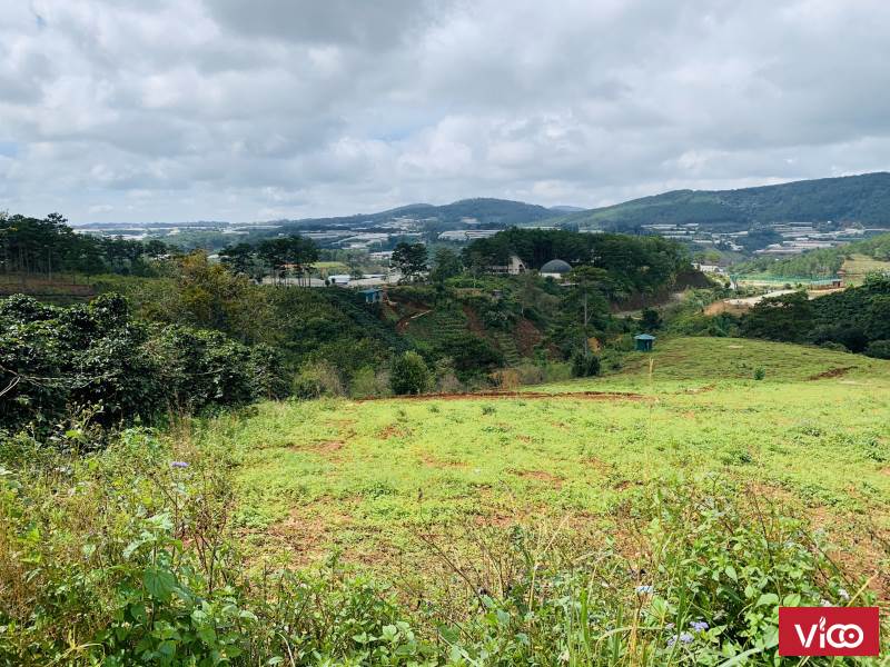 Lô đất view siêu phẩm để nghỉ dưỡng tại Đà Lạt, 202m2 chỉ có 2.1 tỷ