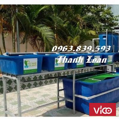 Bán thùng nhựa nuôi cá 1000L chữ nhật giao tận nơi. LH 0963.839.593 Ms.Loan
