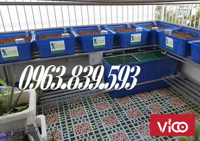 Bán thùng nhựa nuôi cá 1000L chữ nhật giao tận nơi. LH 0963.839.593 Ms.Loan
