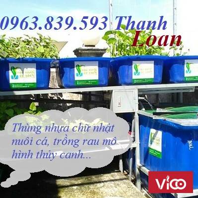 Bán thùng nhựa nuôi cá 1000L chữ nhật giao tận nơi. LH 0963.839.593 Ms.Loan