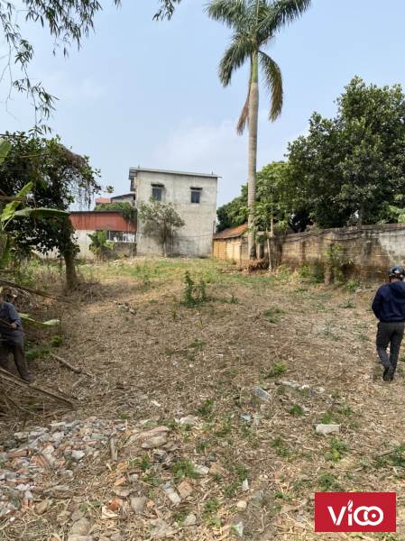 Chính chủ gửi bán lô đất 634m2 tại Tân An xã Sơn Đông, Sơn Tây