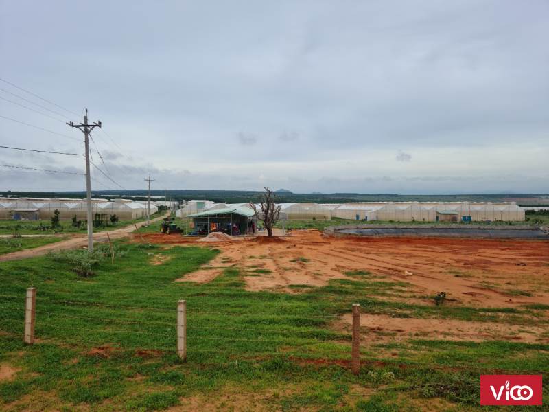 Bán đất làm nhà yến Bình Thuận (bán sào)