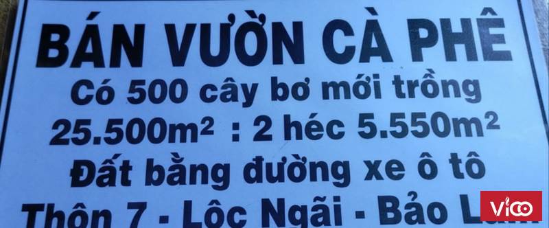 Chính chủ cần bán 2,5hec đang trồng cafe ở Bảo Lâm