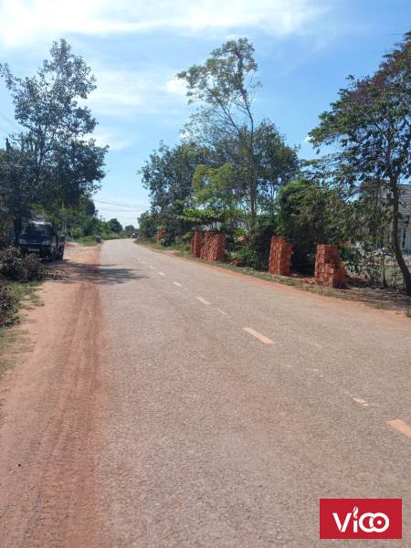 CHÍNH CHỦ CẦN CHO THUÊ MẢNH ĐẤT TRỒNG CÂY LÂU NĂM TẠI PHƯỜNG VĨNH TÂN TỈNH BÌNH DƯƠNG.