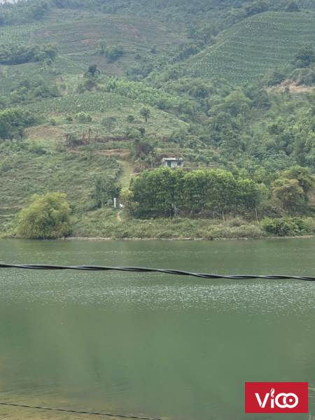 Chính Chủ Cần Bán Đất Sổ Đỏ 8600M2 Giáp Hồ Ngành Tại Lương Sơn Hòa Bình