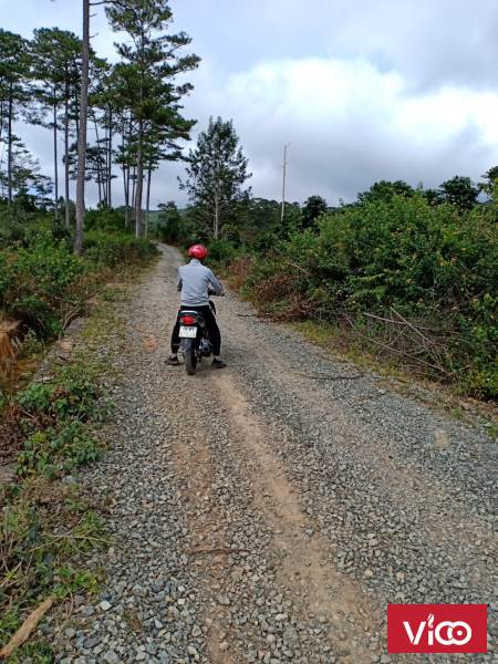 Chính chủ cần bán đất tại xã Đa Nhím, Lạc Dương, Lâm Đồng