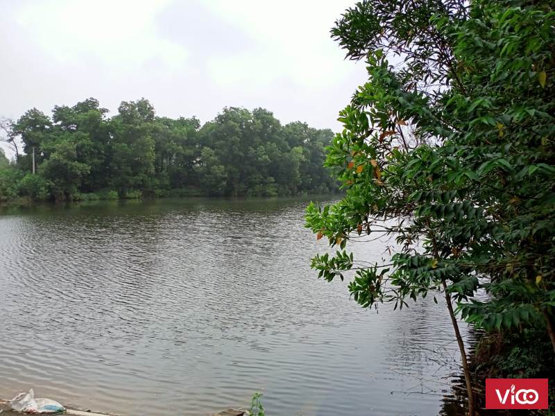 Bán 7400m2 đất nhà vườn view hồ Phúc Xuân, Bắc Sơn, Sóc Sơn, giá 4 tỷ, SSB89