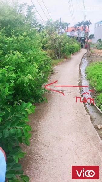 Chính chủ cần bán đất tại Đường Tỉnh lộ 835, Xã Long Trạch, Huyện Cần Đước, Long An