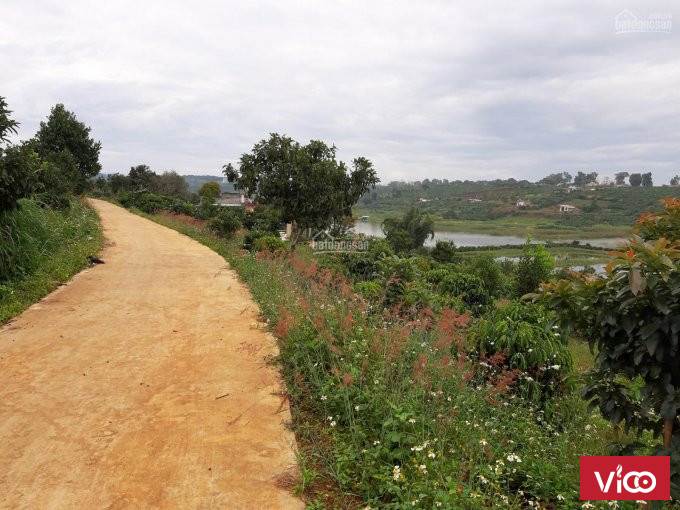 CẦN CHUYỂN NHƯỢNG DT 3.971 M2 GIA TRANG HỒ LIÊN HÀ , LÂM HÀ, LÂM ĐỒNG.