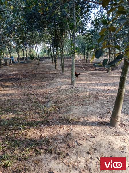 CHÍNH CHỦ CẦN BÁN LÔ ĐẤT 15000M2 THỦY NGUYÊN,HẢI PHÒNG _LIÊN HỆ 0365721893.