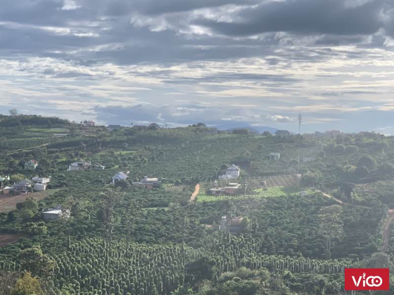 Cần bán đất cách đà lạt 15km. Chuẩn bị sát nhập lên Thành phố 0867.707.123