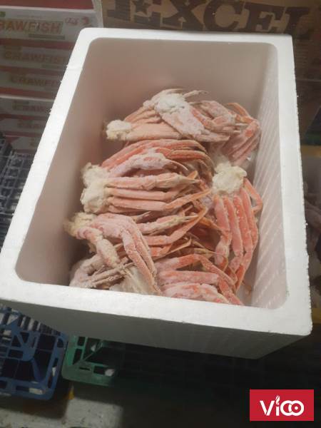 Lắp đặt kho lạnh trữ hải sản tại Vũng Tàu gọi ngay 0947459479