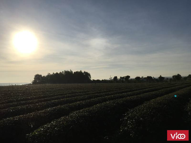 Đất khu biệt thự nghỉ dưỡng