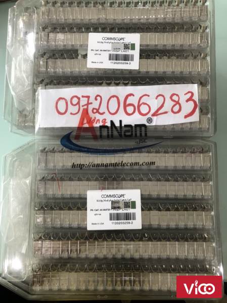 Hộp hạt mạng Cat6A chống nhiễu FTP có đuôi