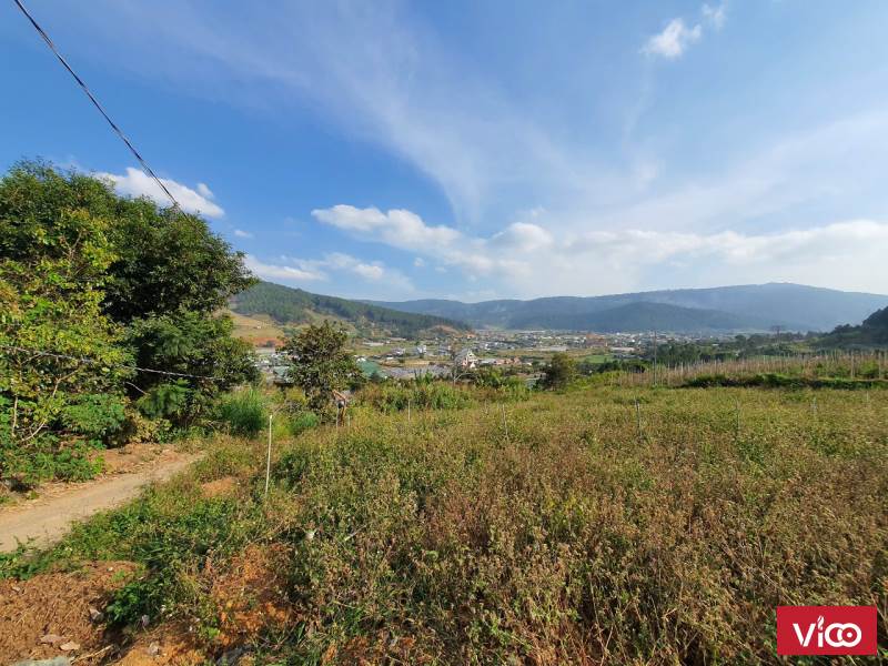Nhà Đất Đà lạt cần bán giá rẽ Thế đất tựa núi, view siêu đẹp, cách đường cao tốc chỉ