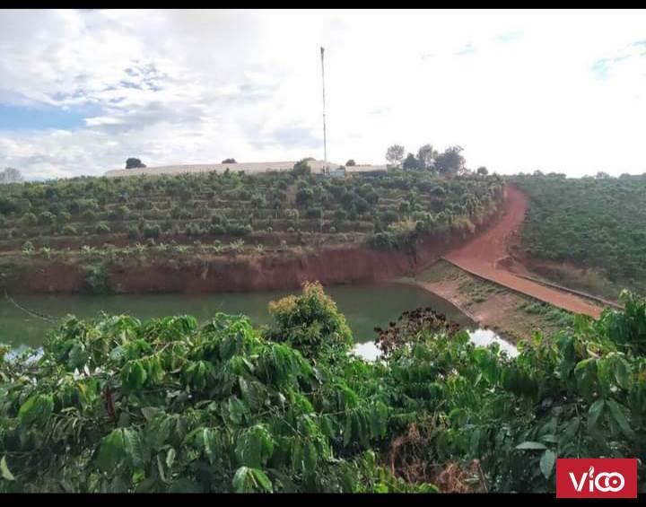 Cần bán Đất Đà Lạt Mình dự định làm Farm nhưng không đủ tiền cần nhượng lại lô đất cho AE muốn