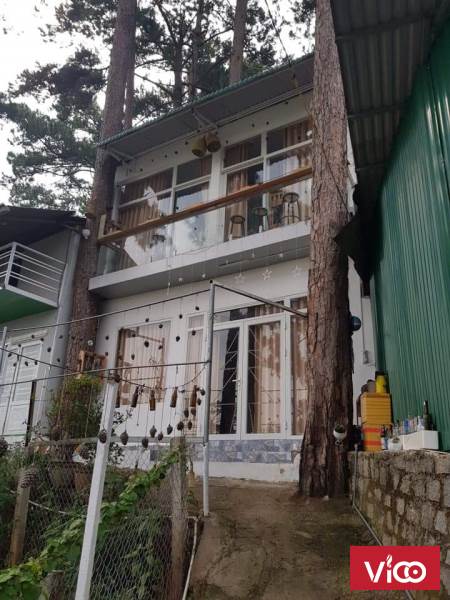 Nhà Đất Đà lạt cần bán nhà vó view rừng thông cực đẹp thích hợp làm homestay,nghĩ