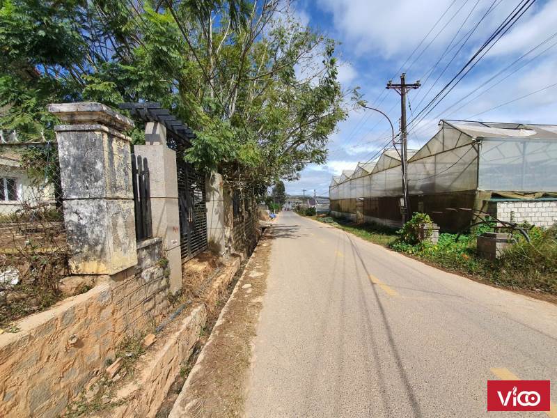 Cần bán đất Đà Lạt Thế đất cao thoáng, khu vực dân cư yên tĩnh, xung quanh có nhiều biệt thự